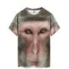 Fun Monkey 3D Print Sports  Breathable Men T-shirt Outdoor Street Loose Cosplay