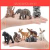 Squirrel Animal Model Set With Pvc Realistic Figures For Educational Play And Collecting Enthusiasts