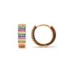 Luxenter and 18k Gold Plated Earrings - Lasy