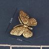Solid Brass Mini Insect Figurines Retro Aged Finish Hand Carved Detailed Decor for Living Room Cabinet Collection Creative Gift