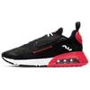 Air Max 2090 Reverse Duck Camo 2020 CU9174-600