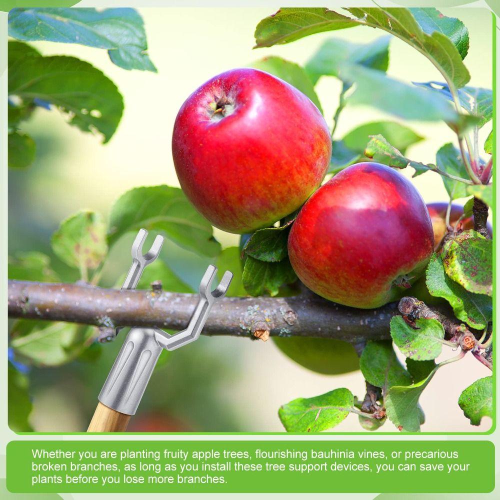 5pcs Rust-Resistant Tree Branch Support Durable Branch Spreader Tool Branch Crutch  Vine Support
