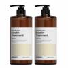 Medi Remedy Intense Recovery Extreme Damage Protein Treatment, 1L, 2 Units