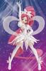 HeartCatch Cure Blossom Super Silhouette PreCure! S. H. Figuarts