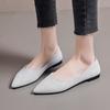 Single Shoes Women Pointed Flat Shoes Lady Fashion Ladyshoes Work Shoes Fashion Shiny Tide