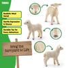 Schleich Farm World Sheep Ages Realistic Farm Animal Toy 13883N (Baby) Figure, 3+,