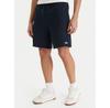 Quiksilver Shorts EQYFB03372