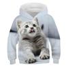 Boys Girls Cute Cat 3D Print Hoodie Children Hooded Pullover Sweatshirt Fashion Child Hoodies Kids Casual Tops Clothing