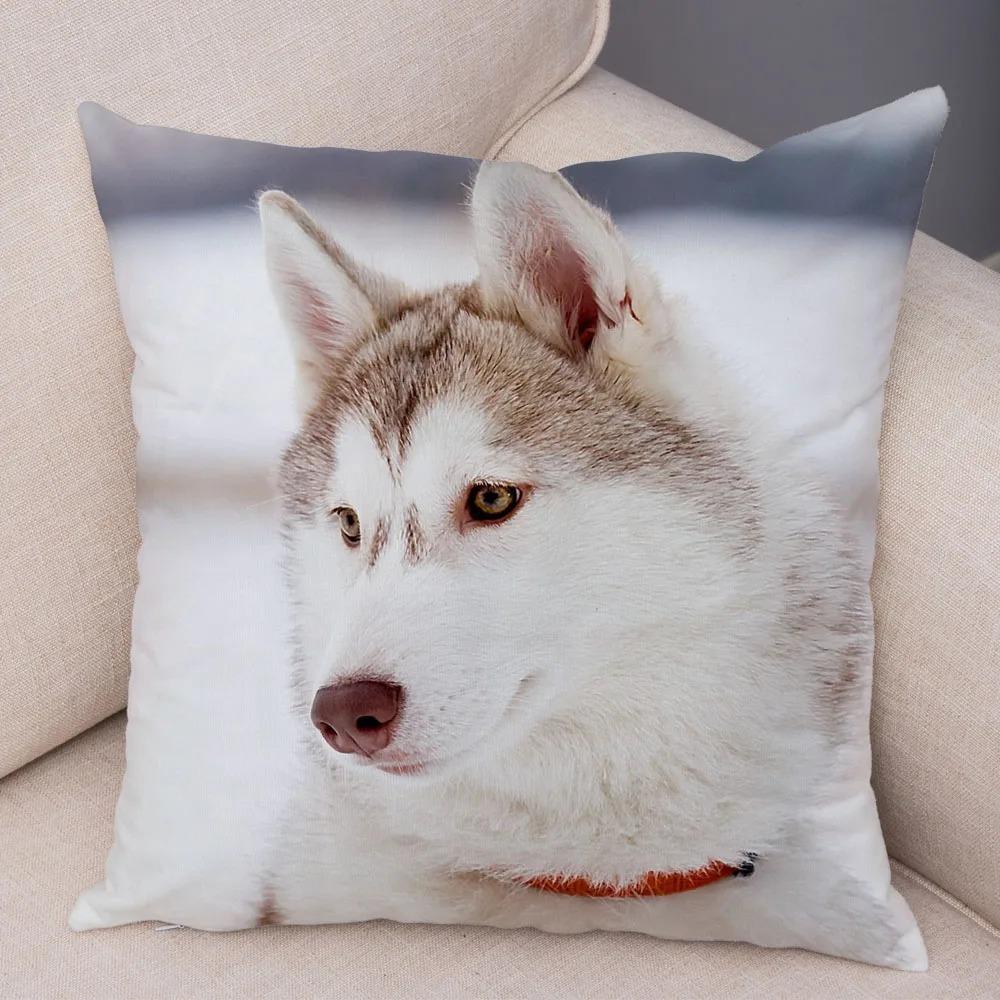 Pc Realistic Siberian Husky Print Pillowcase Set Polyester NonEmbroidery Cushion Covers for Sofa Bed Dog Lover Home Decor