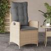 Vidaxl Folding Garden Chair With Cushions, Mixed Beige Rattan