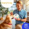 Dog Ball Toss and Fetch Play with Handle Dog Calming Ball Breeds Aggressive Chewers Accompany Outdoor Training Squeak Toys