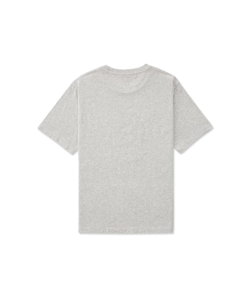 STCO Diems Preppy Graphic Round T-Shirt Gray (Classic Fit)_Dtsub53Csg