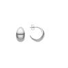 Luxenter Silver-Plated Earrings - Wanisdi