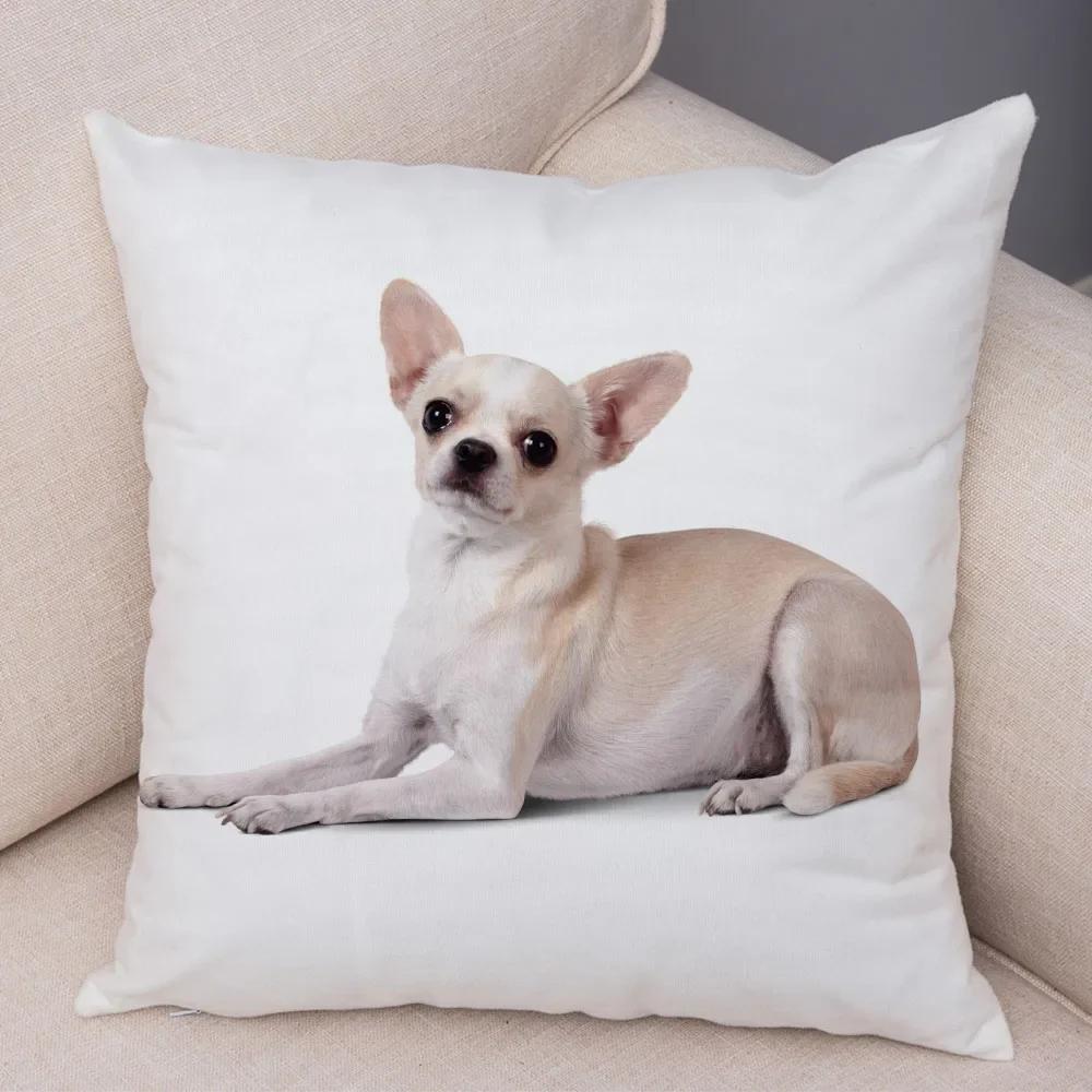 Lovely Pet Animal Pillow Case Decor Cute Little Dog Chihuahua Pillowcase Soft Plush Cushion Cover for Car Sofa Home