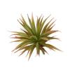 Plante Succulente Artificielle Exquise Feuilles en Plastique et Eau Artificielle