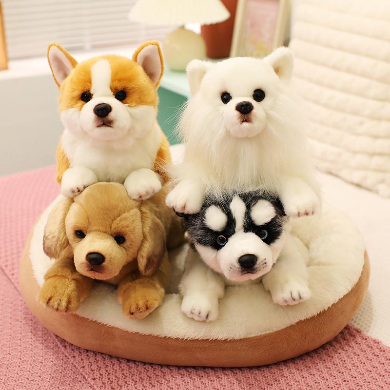 Simulation Haustier Husky Corgi Plüschtier Niedliches Cartoon Tier Labrador Stoffpuppe Heimdeko Geschenke für Mädchen