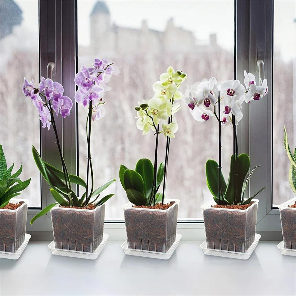 Reusable Transparent Plastic Flower Pots, Breathable Orchid Planters, Root Control Pots for Phalaenopsis Repotting, Clear Square Plant Pots