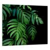 PANEL SZKLANY DO KUCHNI 65x60 Monstera