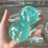 1/2 Pièces Boule Anti-Stress Plage Océan Soulagement de l'Anxiété Balle Transparente Jouet à Presser avec Coquillages à l'Intérieur Relaxation pour Travailleurs de Bureau Balle Sensorielle