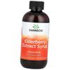 Elderberry Extract Syrup, 237ml (71280093)