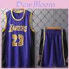 Purple 24 Lakers Lebron James Jersey Set Adult Kids Breathable Basketball Uniform Recreation Fitness Sportswear