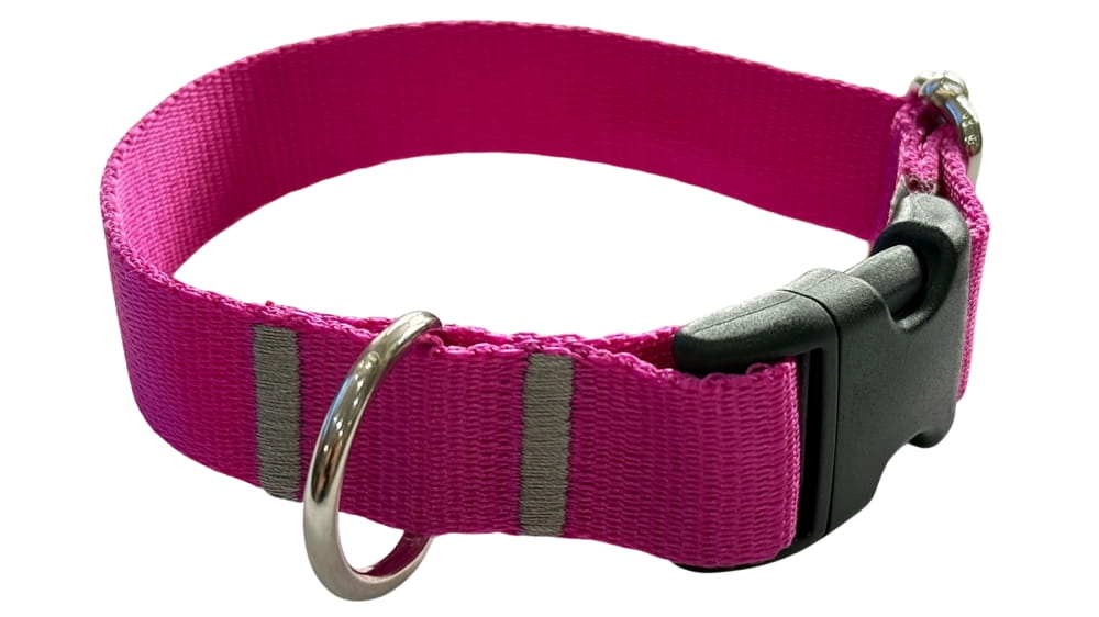 Dog Collar 2 Cm with Buckle Adjustable Fuchsia Fasten Dog Collar 2 Cm with Buckle Adjustable Fuchsia Fasten XL: 50-75cm