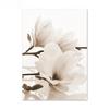 Nordic Beige Dandelion Painting Poster Reed Canvas Art Print Flower Posters Bunny Tail Grass Wall Art Picture Living Room Decor
