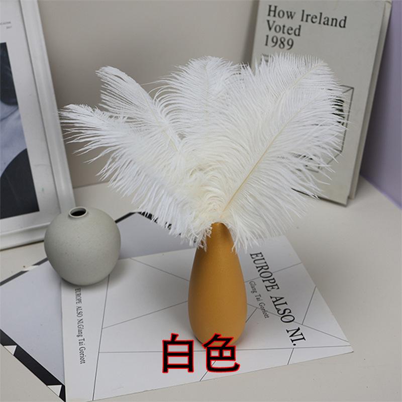 10PCS 20-25Cm Ostrich Feather Stage Performance Feather Handmade Diy Jewelry Decorative Material Ostrich Hair