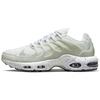 Air Max Terrascape Plus 'White Pure Platinum' Men's DQ3977-100