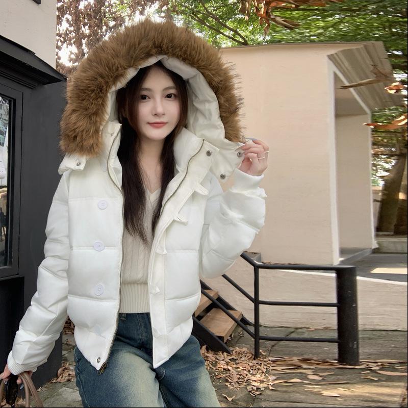 Winter New Hooded Cotton-padded Clothes, Thin Korean Version of Foreign Style Simple Big Fur Collar Short Coat