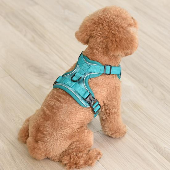 Cat Harness And Leash Reflective Strips Jacket Breathable Adjustable Vest Harness Escape Proof Easy Control Leash for Cats