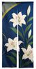 Noren 180cm Featuring Casablanca Japanese Long Tension Rod Room Dressing Privacy Screen Next.design (Japanese Curtain) Long, Lilies, Lilies, Flowers,