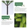 Artificial Pine Branches Realistic Norfolk Pine Stems Faux Greenery Foliage Pine Needle Twigs for DIY Christmas Wreaths Vase Indoor Outdoor Decor