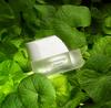 [2025 New Version] Dermatology Cream