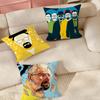 Tv Series Breaking B-Bad Self Adhesive Pillow Case Suitable For Bedrooms Living Rooms Cars Home Decoration
