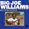 CD BIG JOE WILLIAMS - Walking Blues 00025218242424 Fantasy Europe Blues Gebraucht