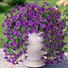 Artificial Violet Eucalyptus Vine Wall Hanging Decoration for Home and Garden