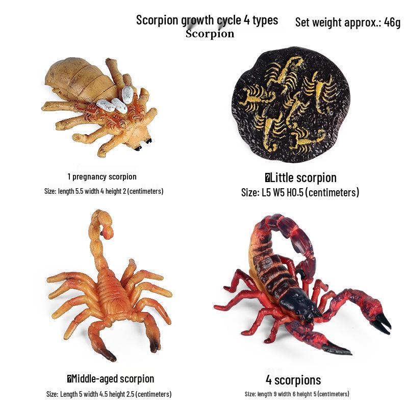 Pediatric Cognitive Simulation: Mini Salmon Growth Cycle Toy