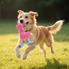 3 Pièces Jouet Squeaky en Peluche pour Chien Forme de Petit Cerf Rembourré Jouets à Mâcher pour Chien avec Nœud de Balle en Corde pour Chiot Dentition Entraînement Soulagement de l'Ennui