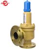 Haiyi A41H Spring-Loaded Low-Lift Safety Valve
