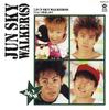 CD JUN SKY WALKERS  Hitotsudakishimete 8031032 Toys Factory 2002 Japan Japanese PopRock Used