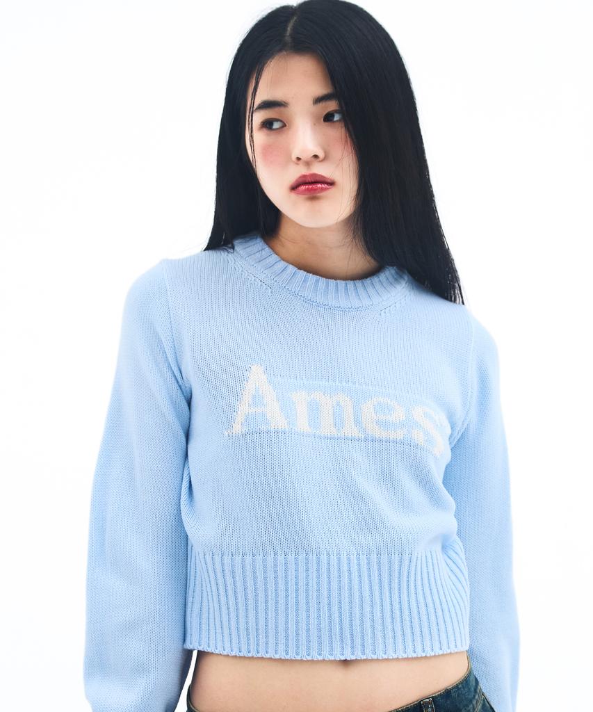 AMES-WORLDWIDE Basic Pullover Knit Light Blue