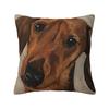 Pet Galgo Lurcher Dachshund Animal Hip Hop Cute Throw Pillow Cover Polyester Decorative Pillow Dog Lover Funny Cushion Covers
