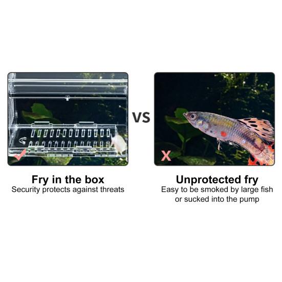 Aquarium-Zuchtbox, Isolierung, Fischzucht, Brutteiler, transparentes Multi-Grid-Design, Fischzucht-Isolationsbox für Garnelen, Clownfische