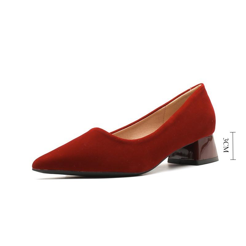 High Heels Women's Spring and Summer Thick Heel Pointed Professional Mid Heel Pumps Women's New Shallow Commuter Work Shoes