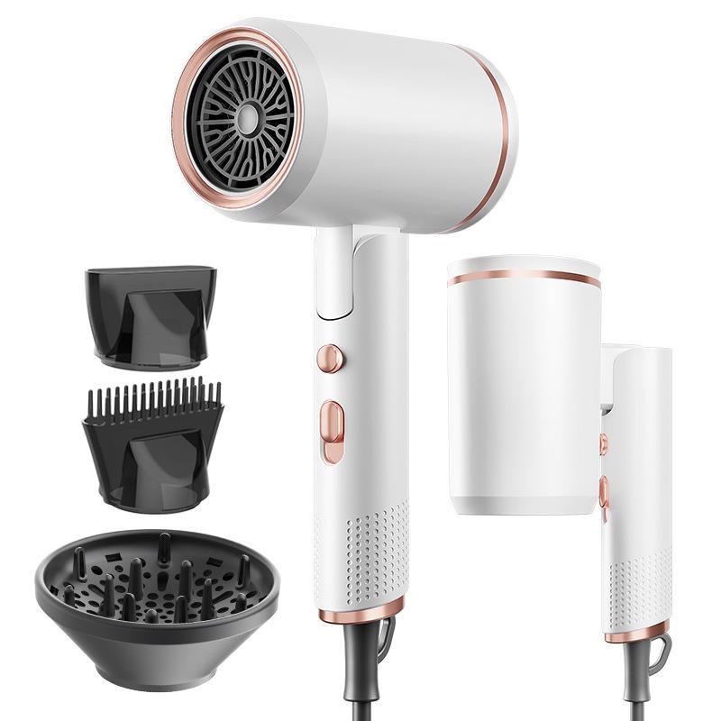 Portable 1600W Hot and Cold Hair Dryer with Foldable Handle and Diffuser/concentrator/comb Nozzle