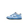 Dunk Abrasion Resistant Low Top Skateboard Shoes Unisex Blue HF5441-100(Team825-)