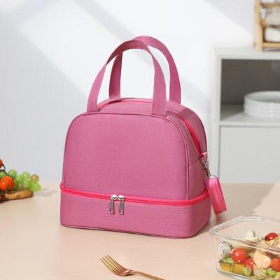 Lishin Double-Layer Insulated Lunch & Picnic Bag