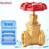 Masifu Heavy-Duty Forged Brass Gate Valve