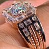 Weiya Luxury Silver and Zircon Wedding Ring for Men & Women